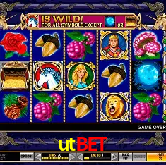 Exclusive Offers utbet